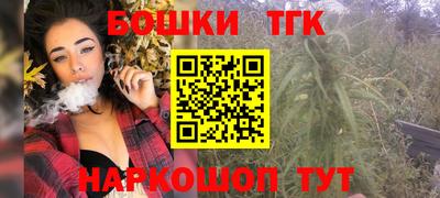 СК Брянск