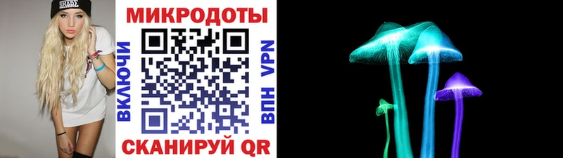 Псилоцибиновые грибы Psilocybe  Владивосток 