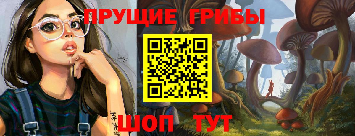 Владивосток  Галлюциногенные грибы Psilocybe  Вход с VPN  Псилоцибиновые грибы мухоморы 
