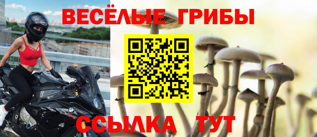 Галлюциногенные грибы Psilocybe Владивосток